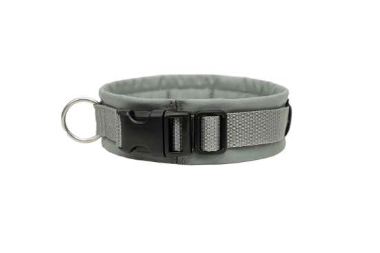 annyx Steckhalsband Fun grau/silber